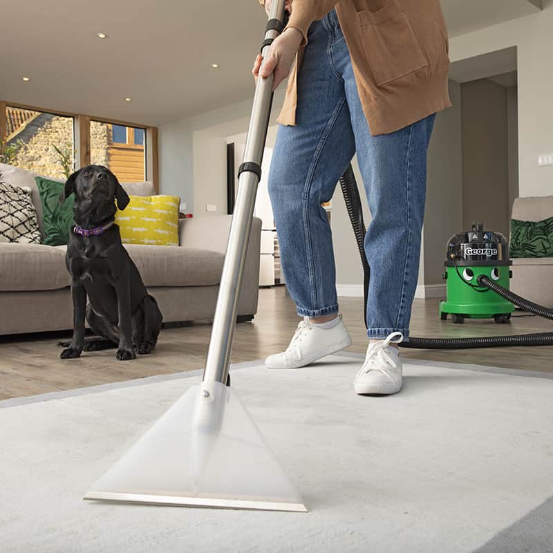 george vacuum cleaner carpet cleaning